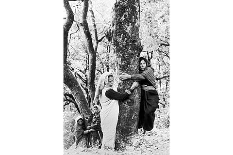 Chipko movement